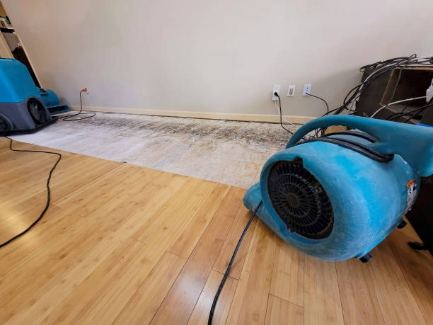 Professional Basement Flood Cleanup technician working in Voorhees, NJ